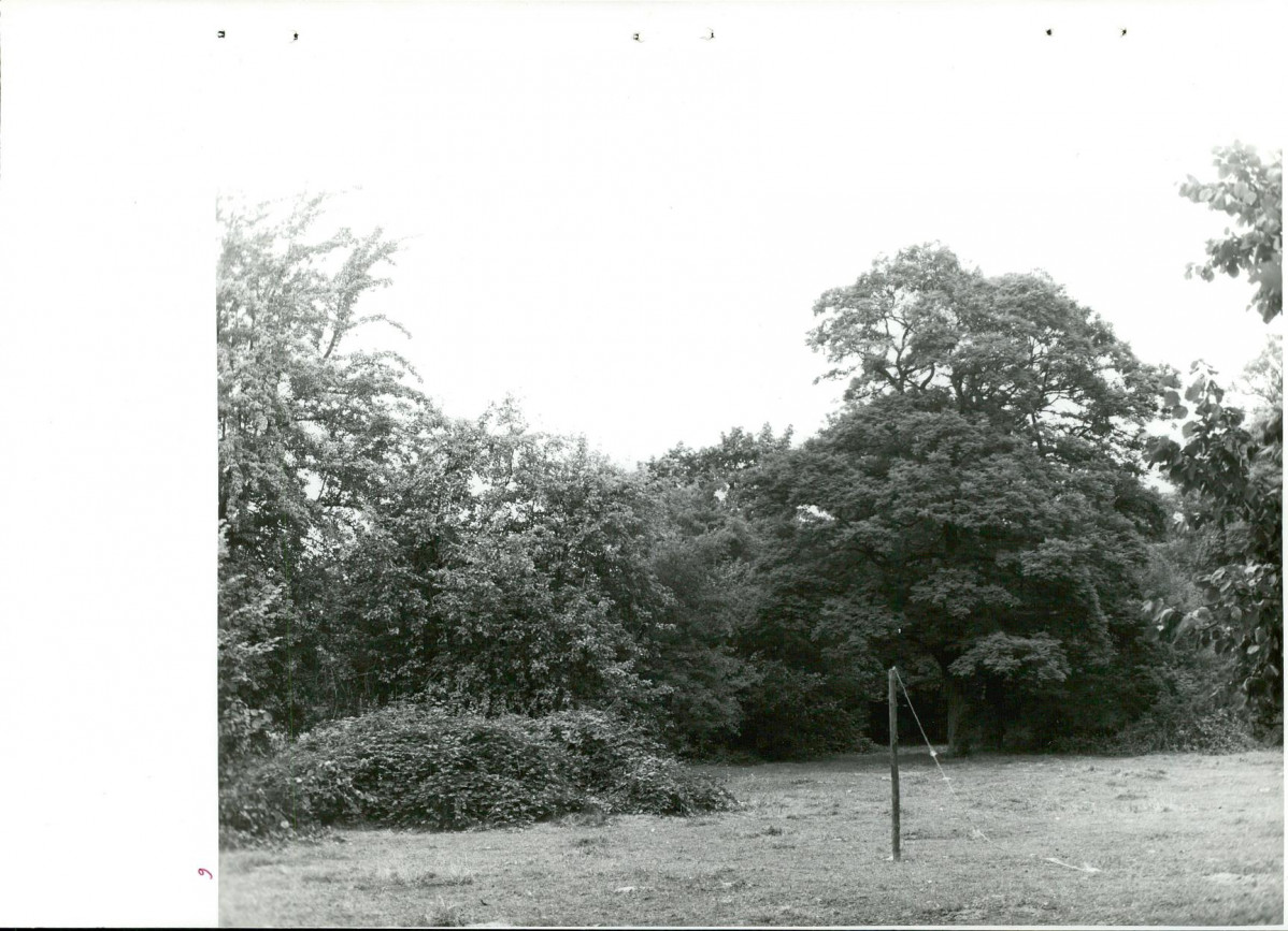 Ewidencja parkowa, skan nr 36