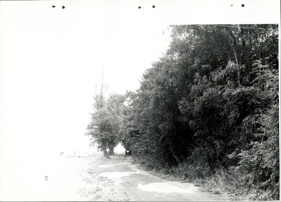 Ewidencja parkowa, skan nr 52