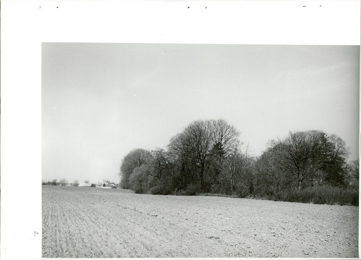 Ewidencja parkowa, skan nr 36