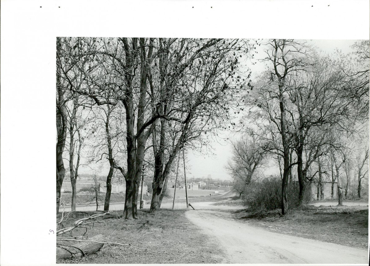 Ewidencja parkowa, skan nr 39