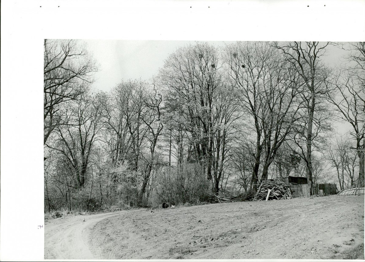 Ewidencja parkowa, skan nr 41