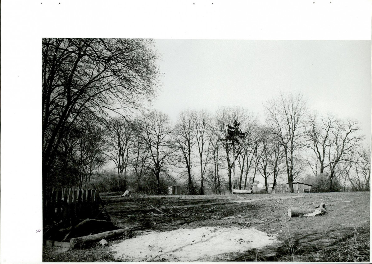 Ewidencja parkowa, skan nr 43