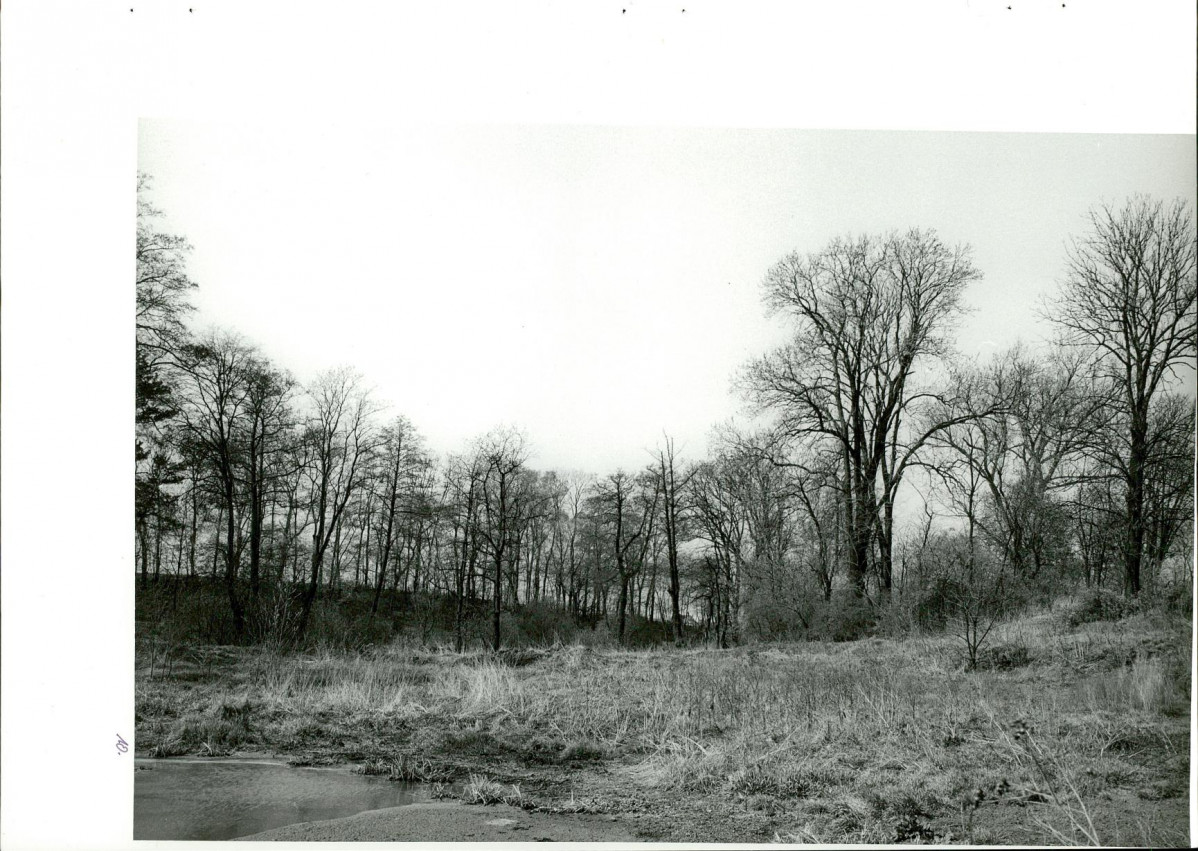 Ewidencja parkowa, skan nr 44