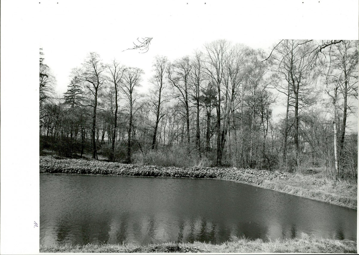 Ewidencja parkowa, skan nr 45