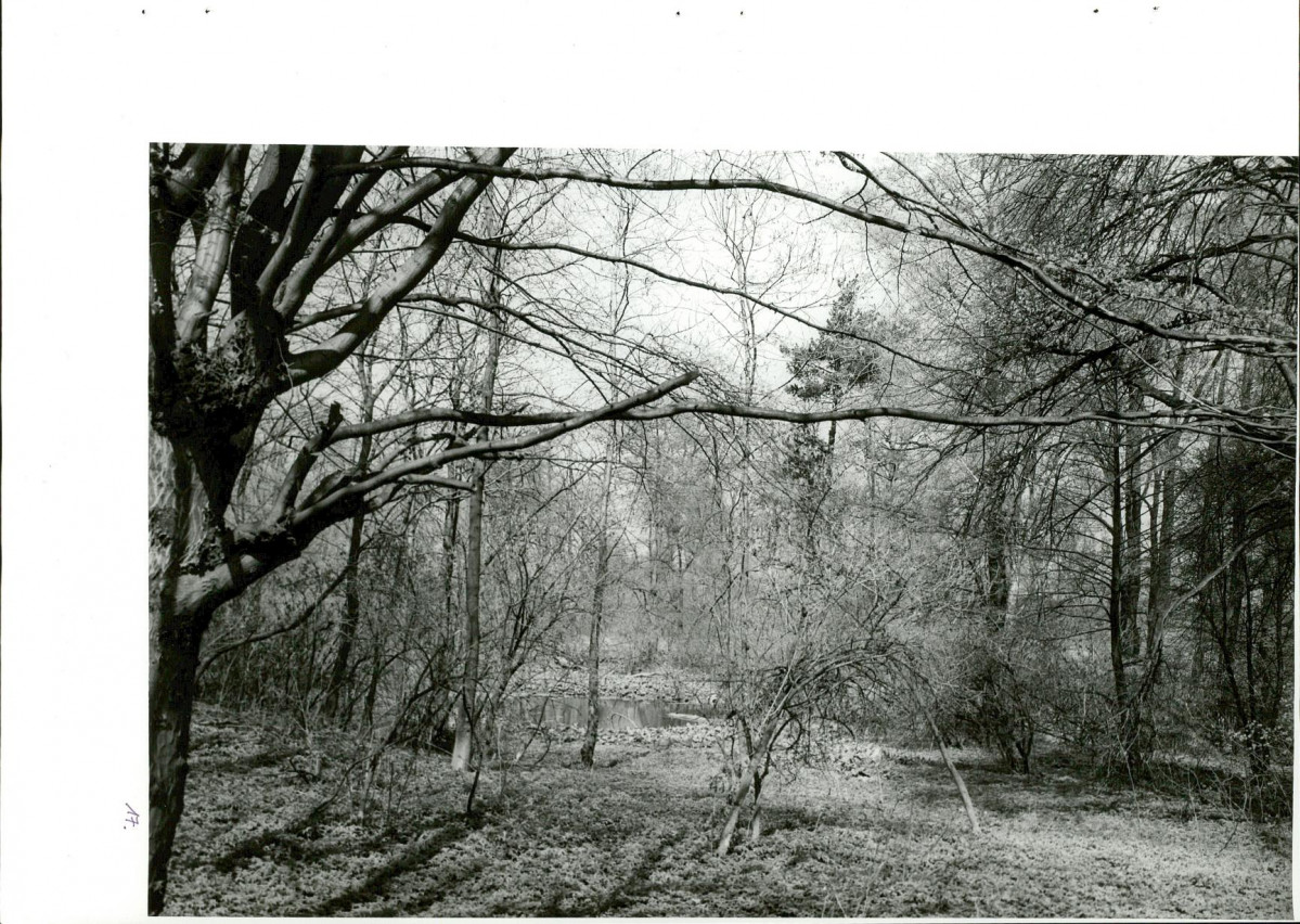 Ewidencja parkowa, skan nr 51