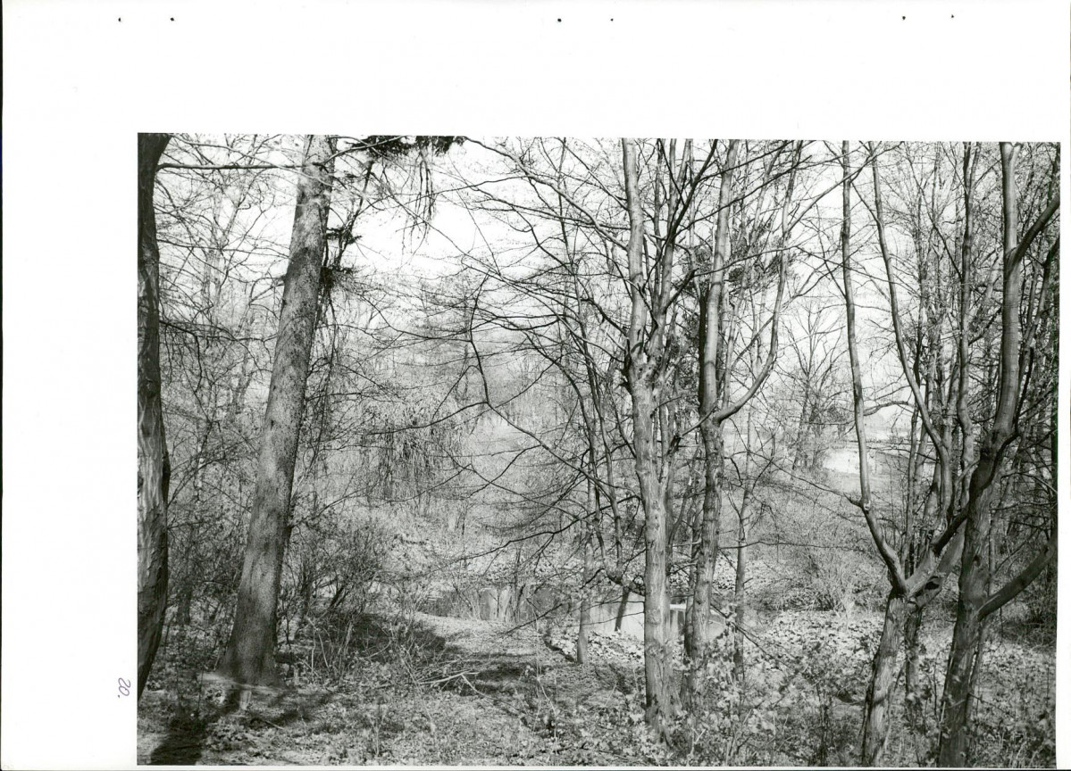 Ewidencja parkowa, skan nr 55