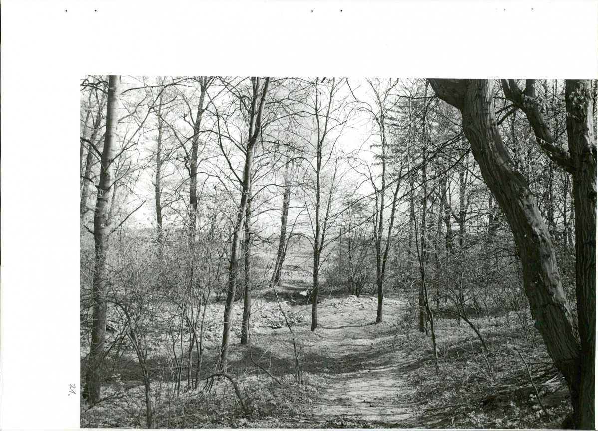 Ewidencja parkowa, skan nr 56