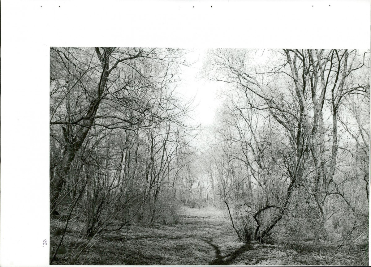 Ewidencja parkowa, skan nr 57