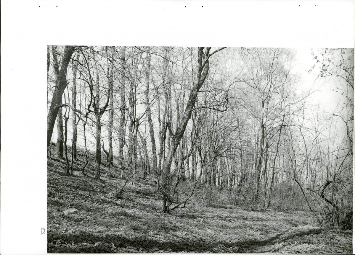 Ewidencja parkowa, skan nr 58