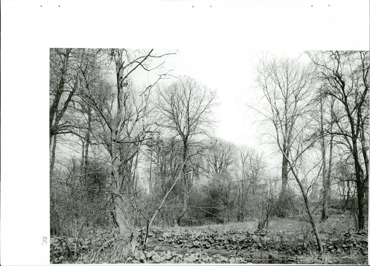 Ewidencja parkowa, skan nr 60