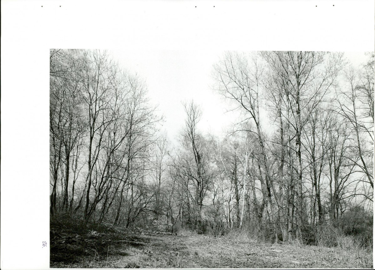 Ewidencja parkowa, skan nr 61
