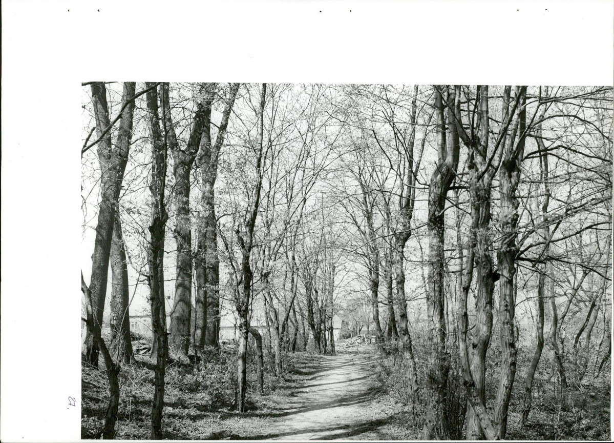 Ewidencja parkowa, skan nr 62