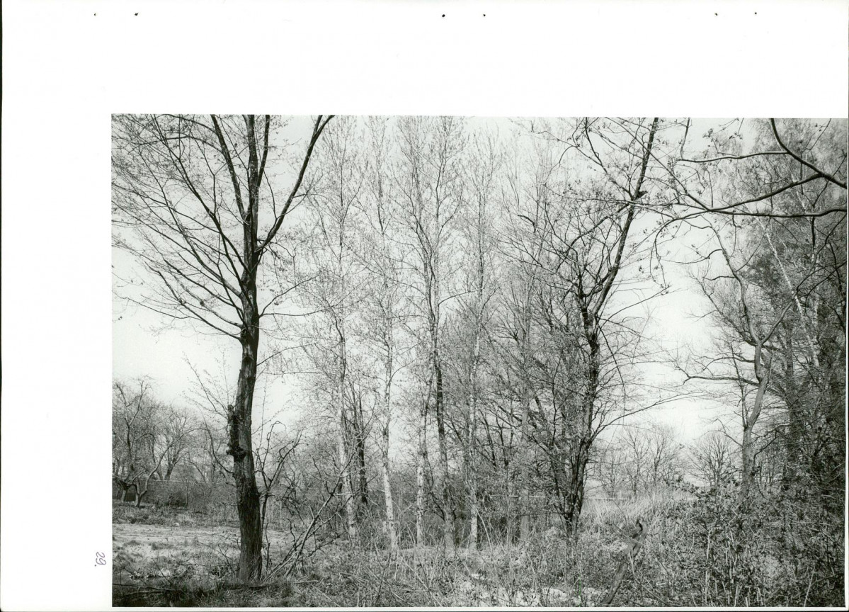 Ewidencja parkowa, skan nr 64