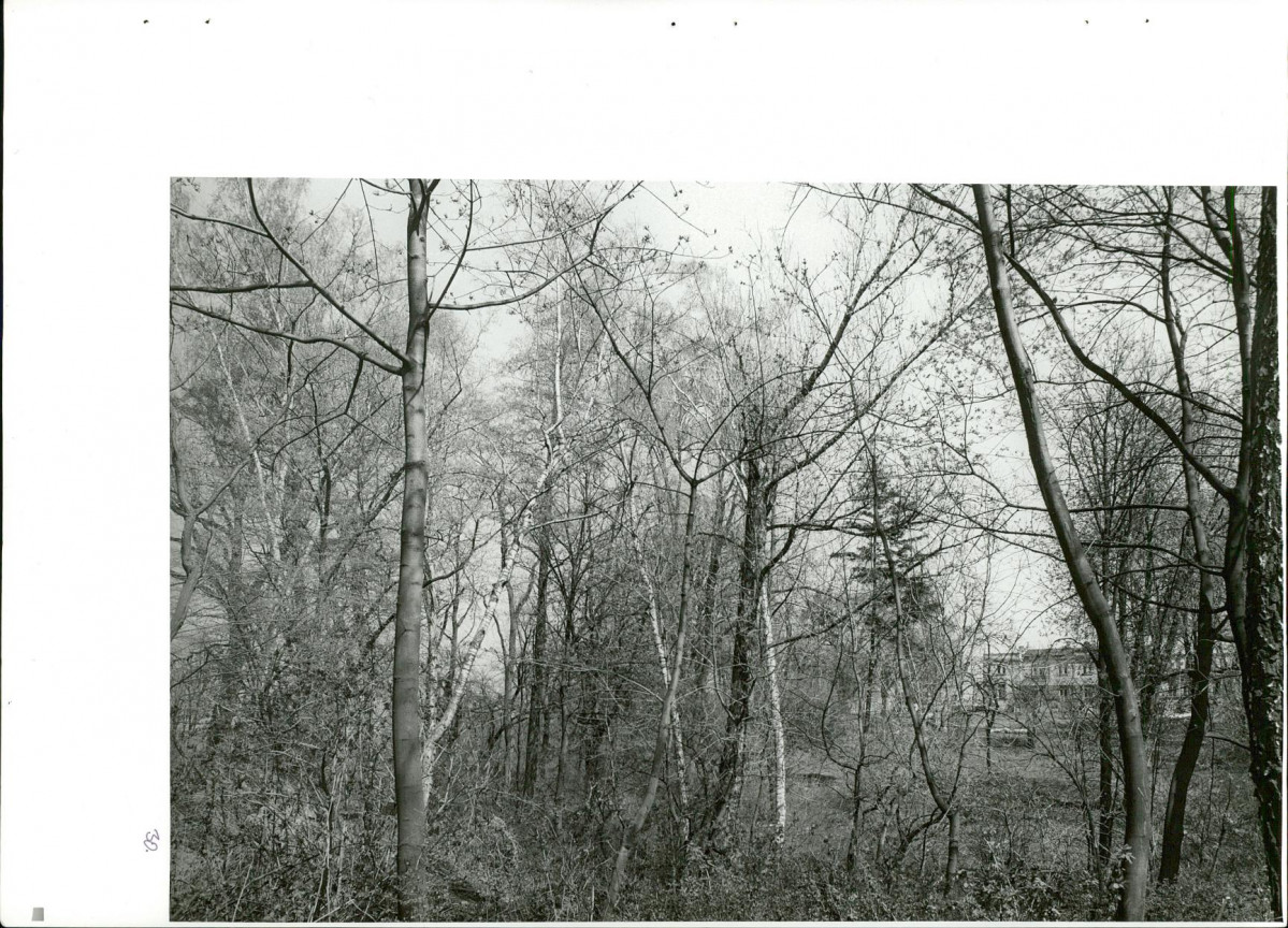 Ewidencja parkowa, skan nr 65