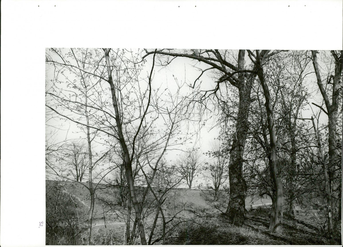 Ewidencja parkowa, skan nr 67