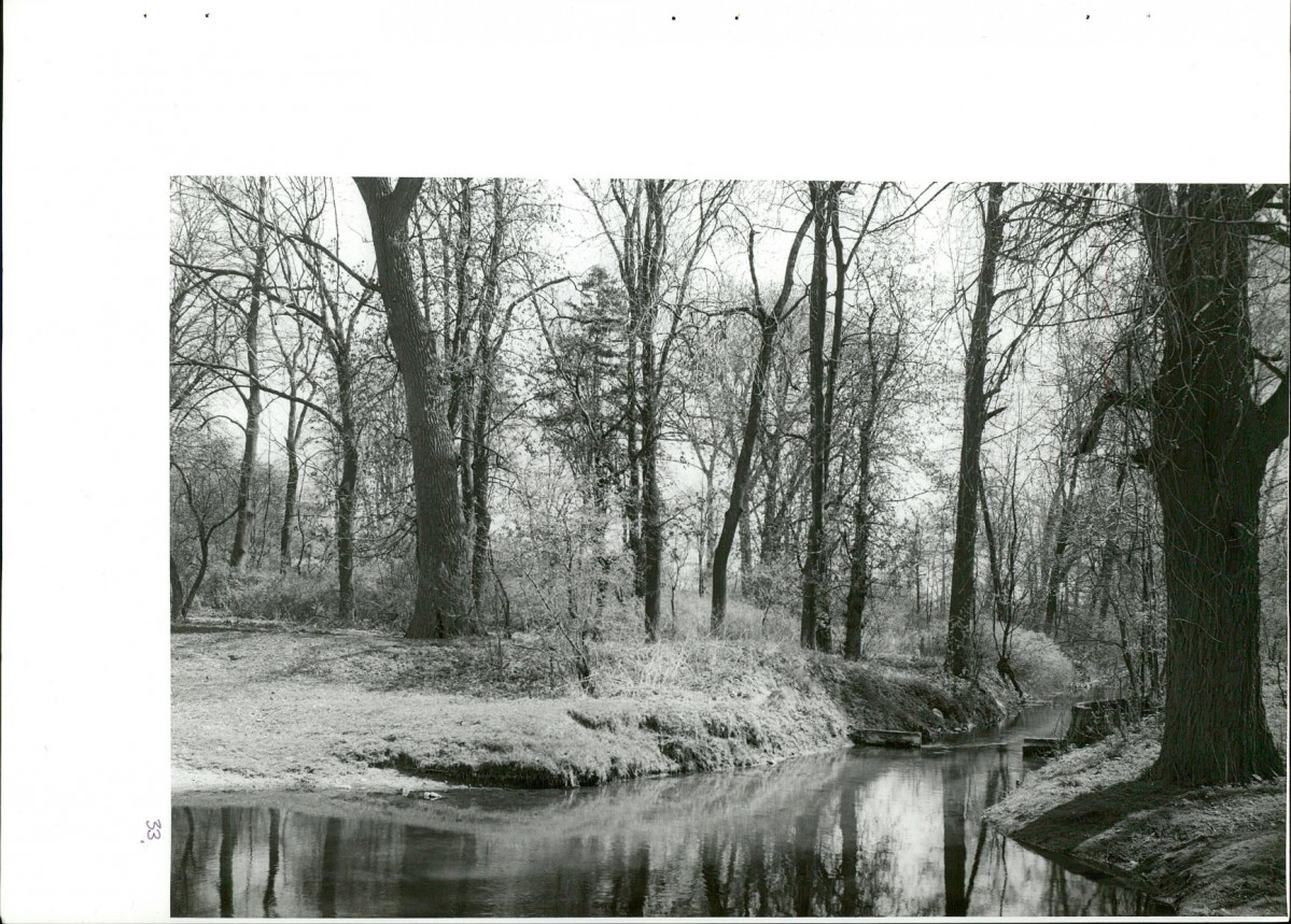 Ewidencja parkowa, skan nr 68
