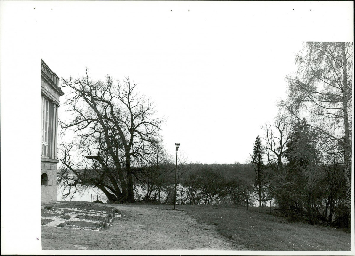 Ewidencja parkowa, skan nr 43