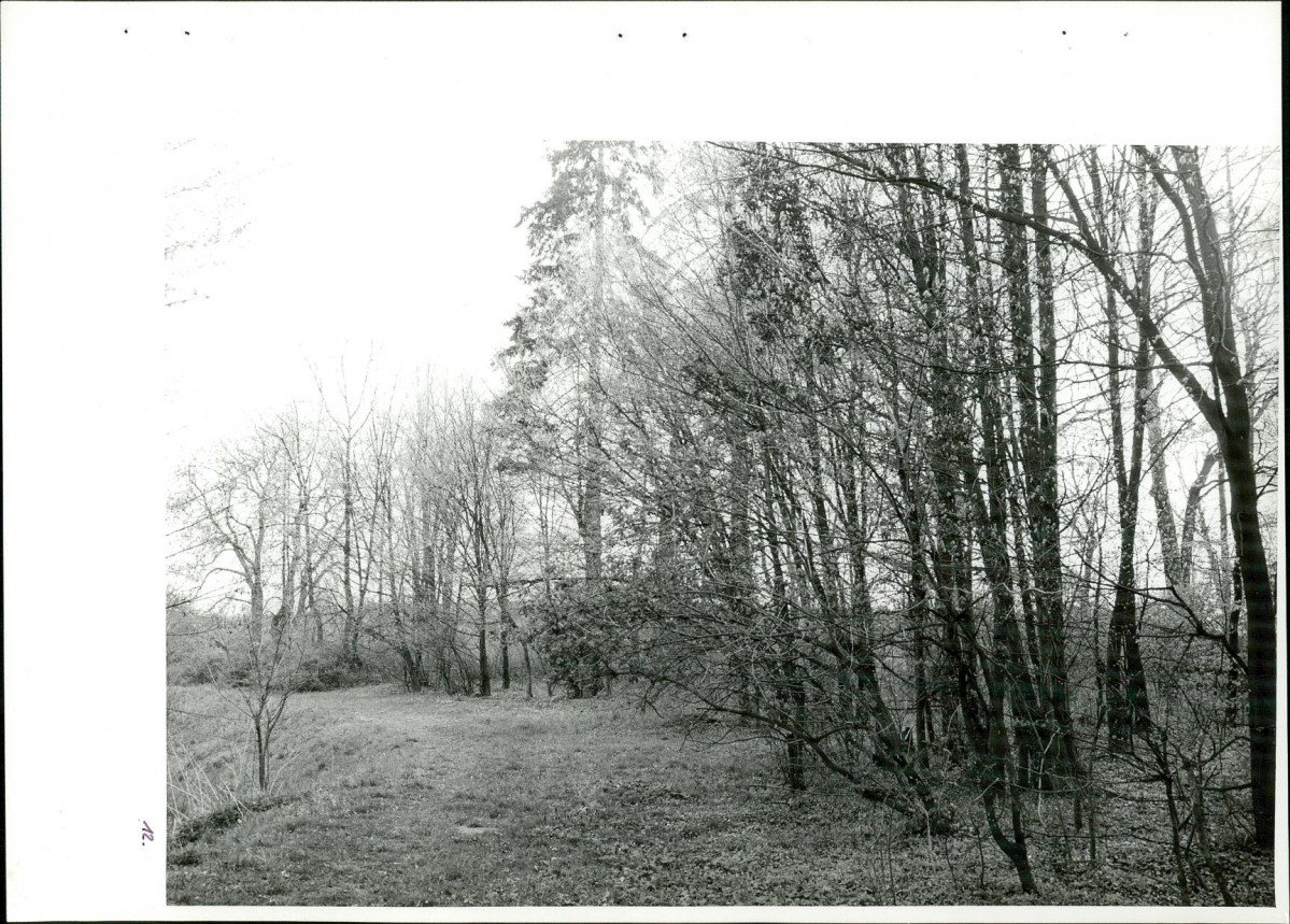 Ewidencja parkowa, skan nr 48