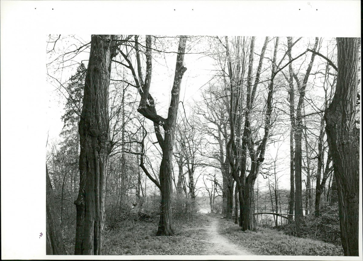 Ewidencja parkowa, skan nr 50