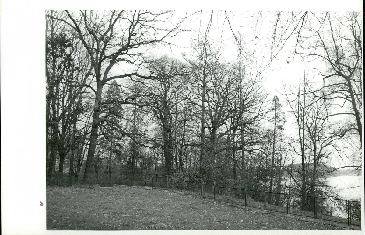 Ewidencja parkowa, skan nr 52