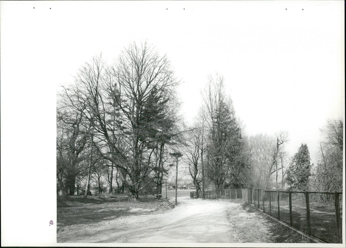 Ewidencja parkowa, skan nr 55