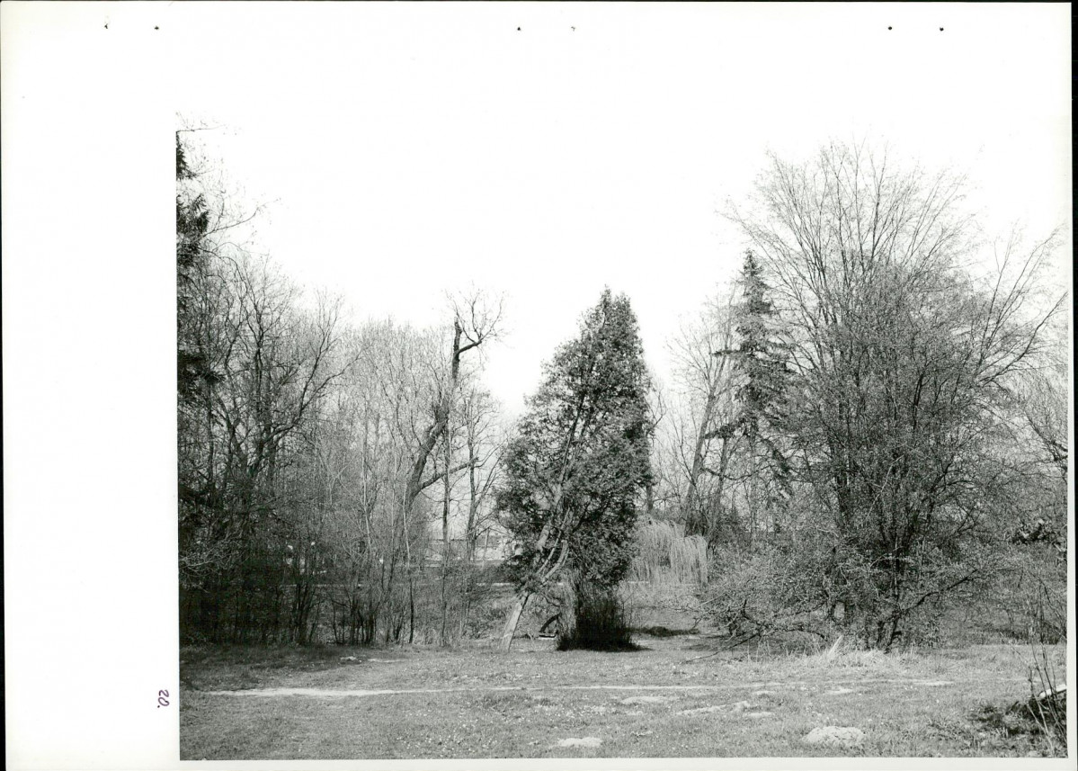 Ewidencja parkowa, skan nr 56
