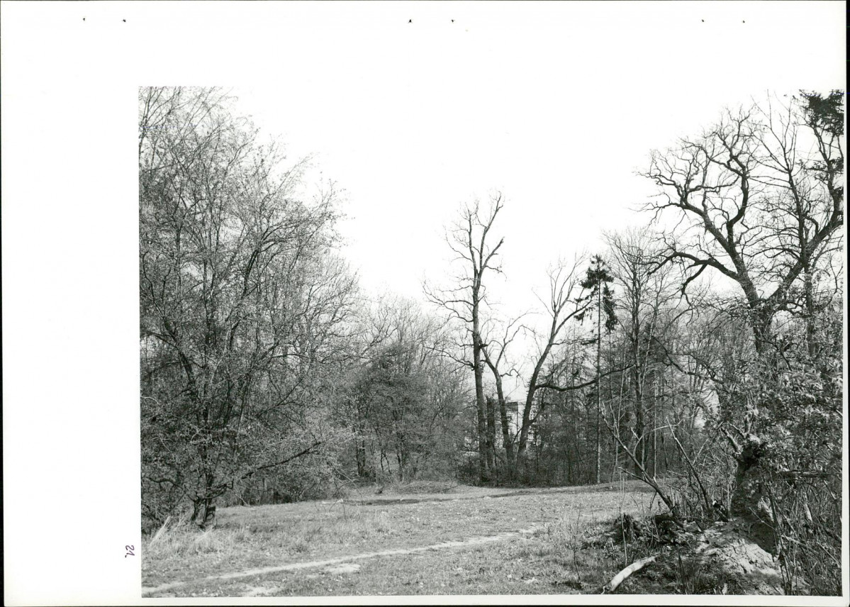 Ewidencja parkowa, skan nr 57