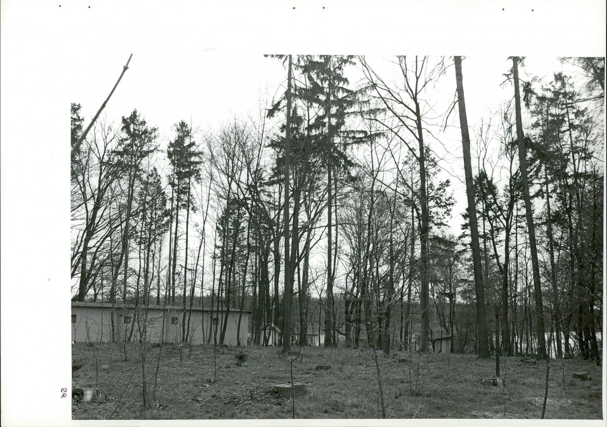 Ewidencja parkowa, skan nr 60