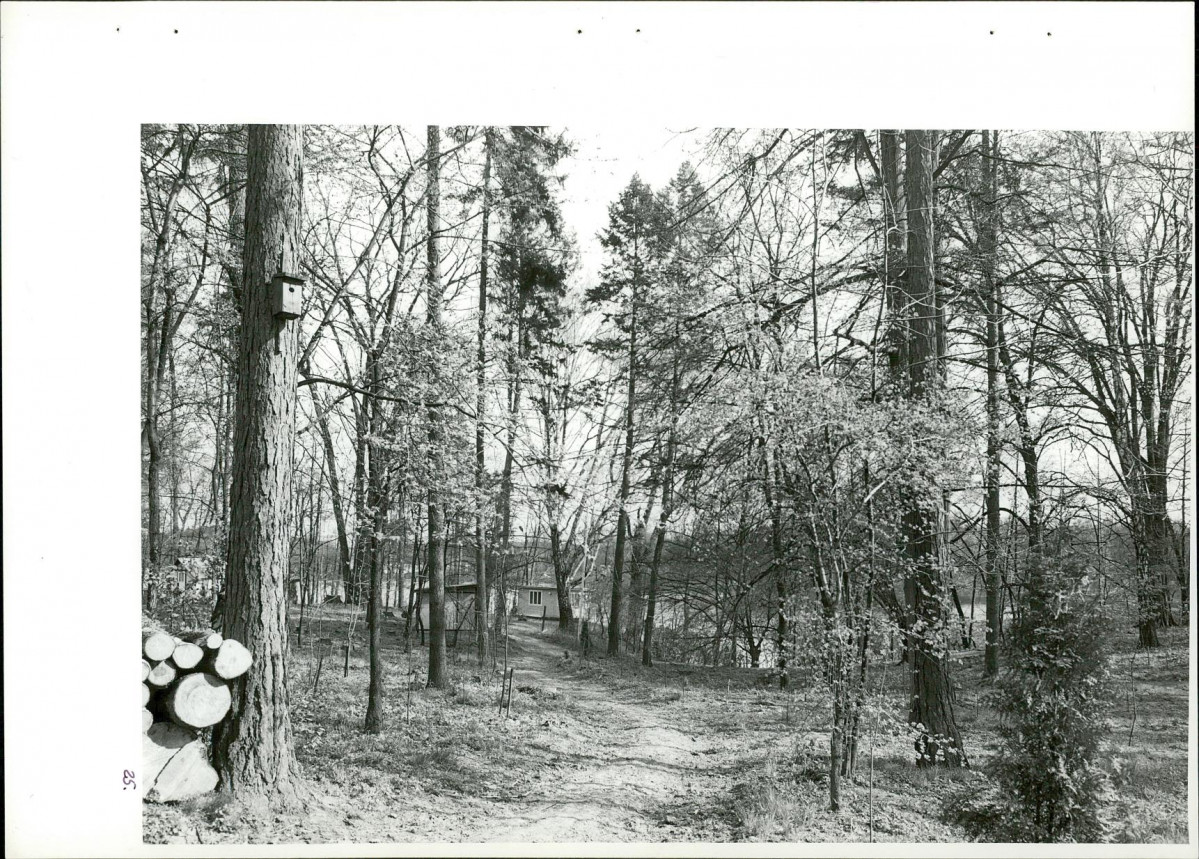 Ewidencja parkowa, skan nr 61