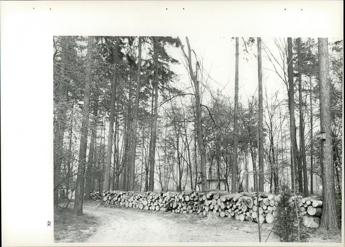 Ewidencja parkowa, skan nr 62