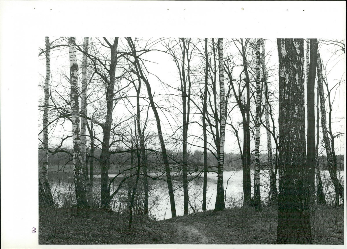 Ewidencja parkowa, skan nr 66