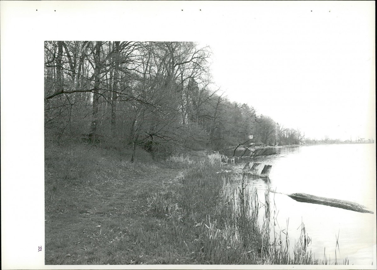 Ewidencja parkowa, skan nr 70