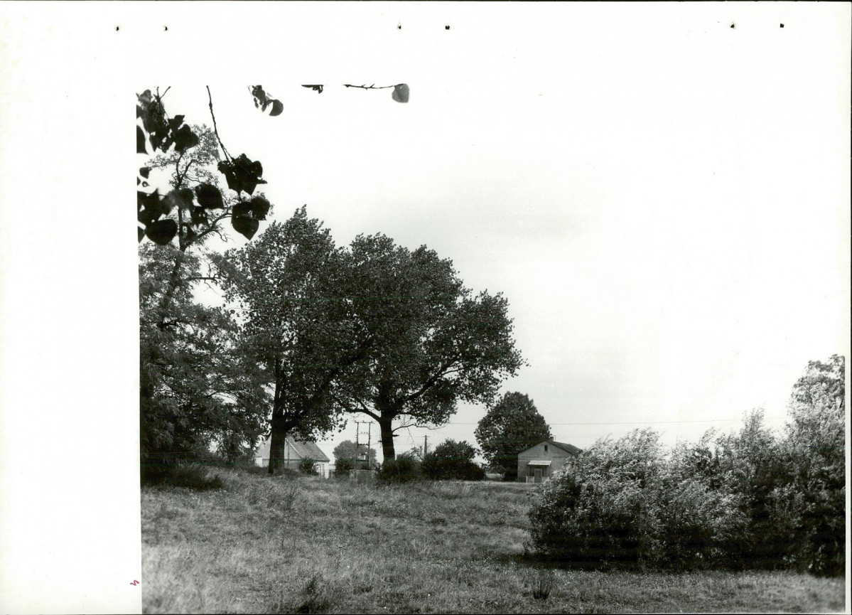 Ewidencja parkowa, skan nr 34