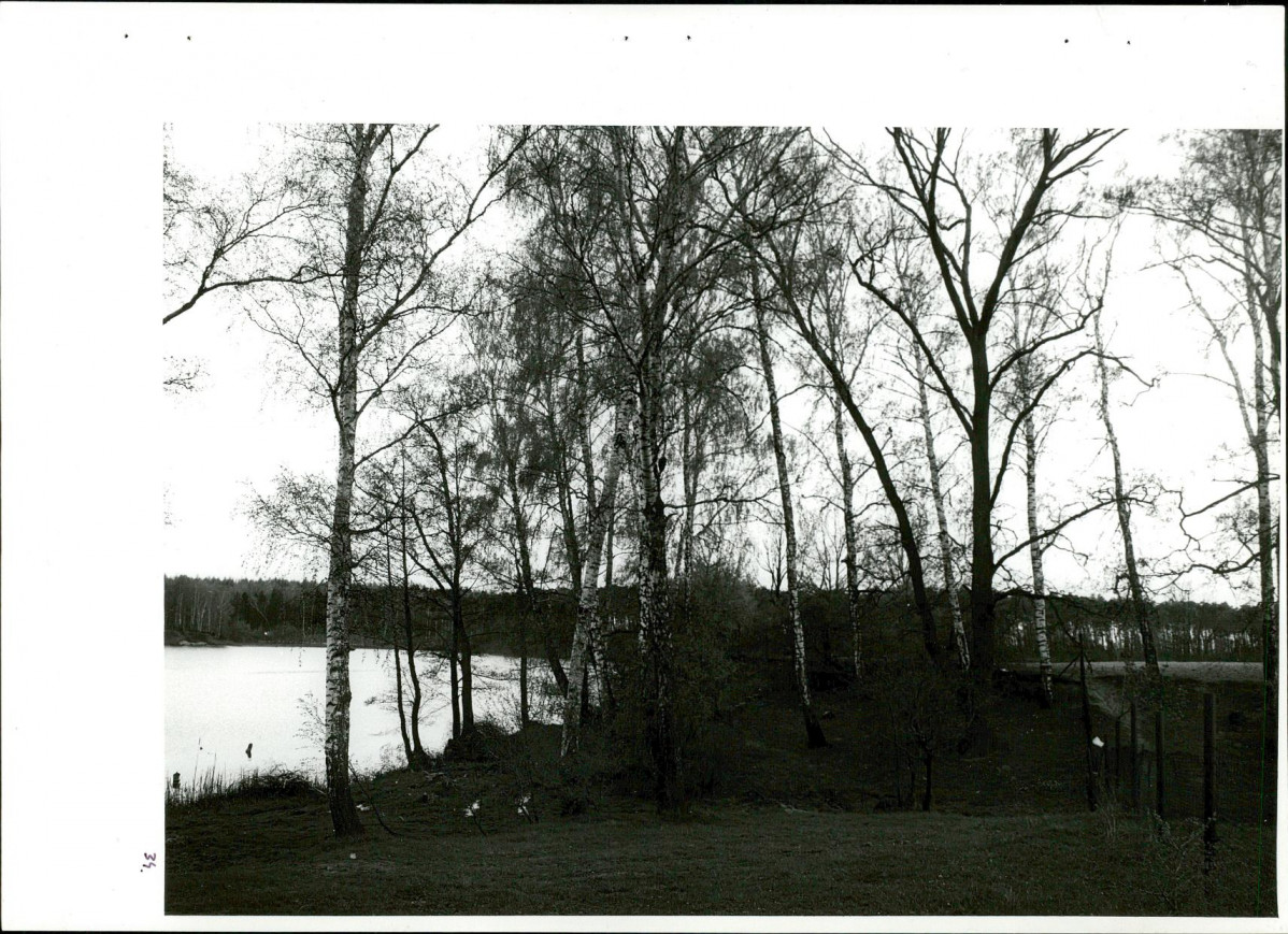 Ewidencja parkowa, skan nr 71