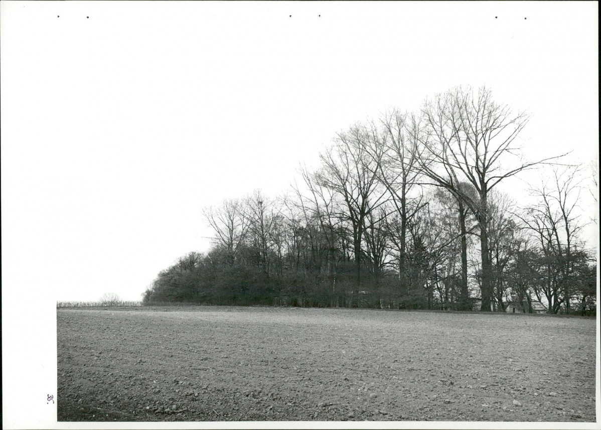 Ewidencja parkowa, skan nr 72