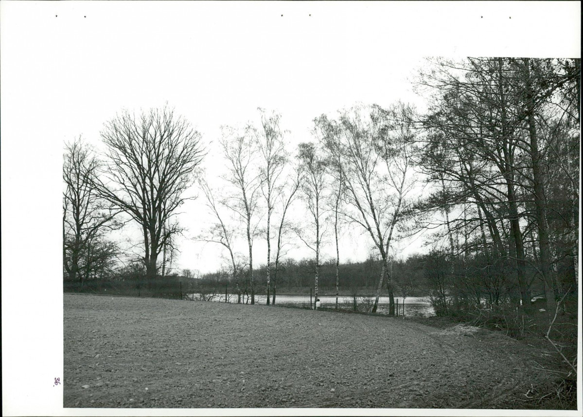 Ewidencja parkowa, skan nr 73