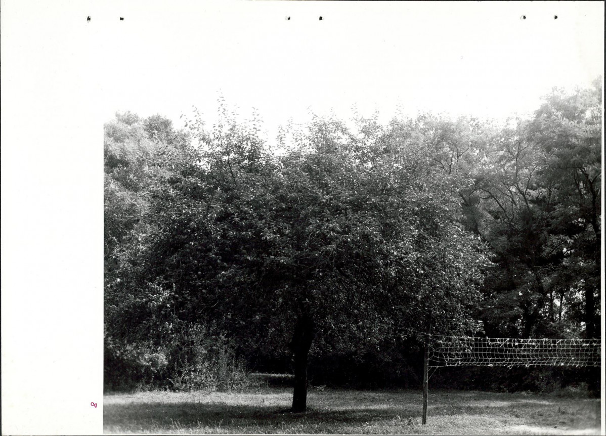 Ewidencja parkowa, skan nr 38