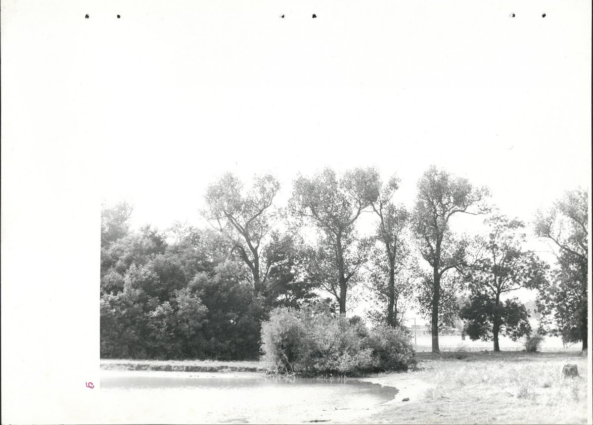 Ewidencja parkowa, skan nr 39