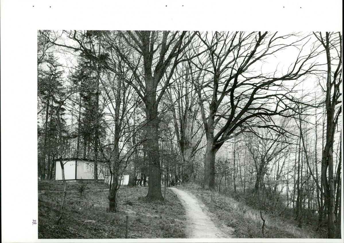 Ewidencja parkowa, skan nr 76