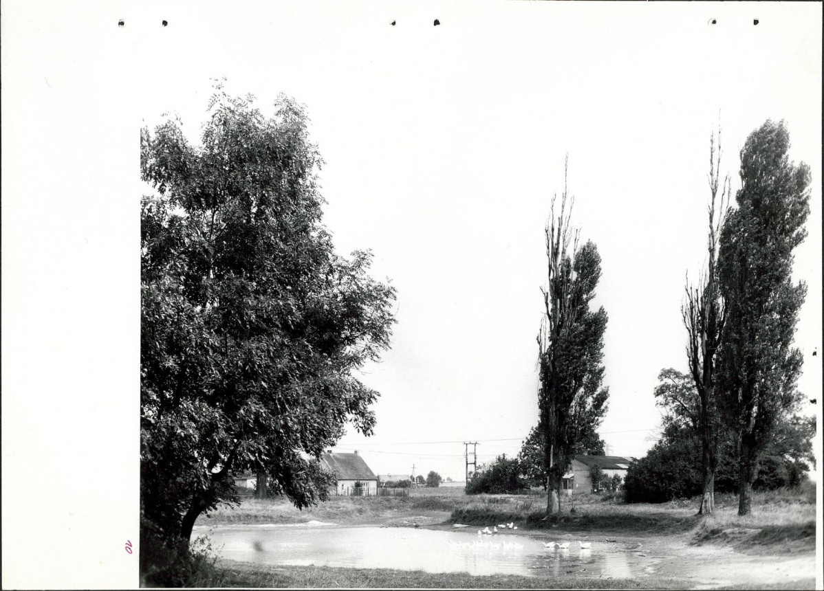 Ewidencja parkowa, skan nr 40