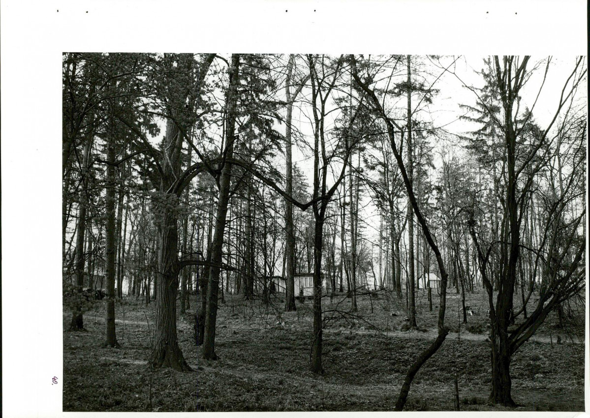 Ewidencja parkowa, skan nr 77
