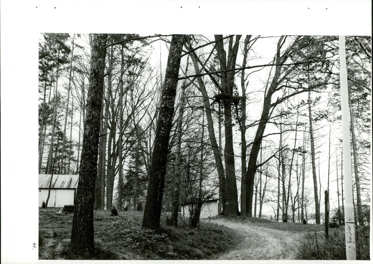 Ewidencja parkowa, skan nr 78