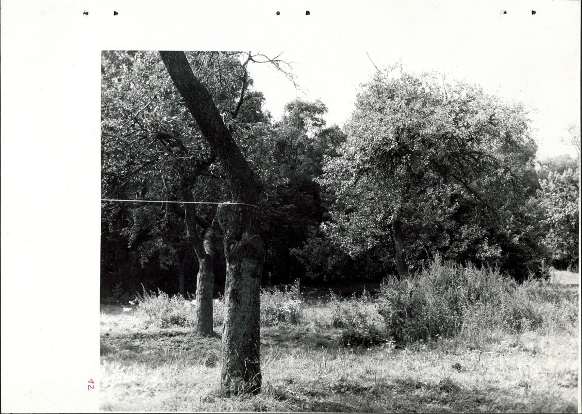 Ewidencja parkowa, skan nr 42