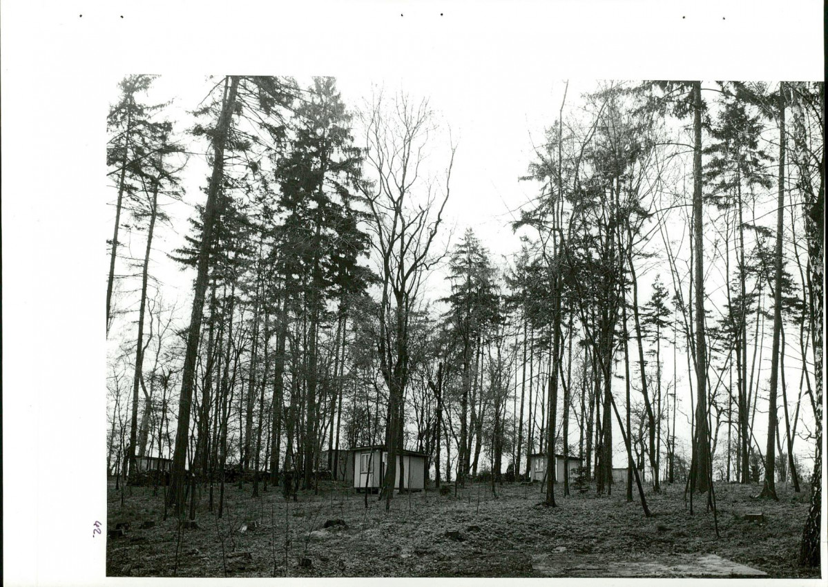 Ewidencja parkowa, skan nr 79