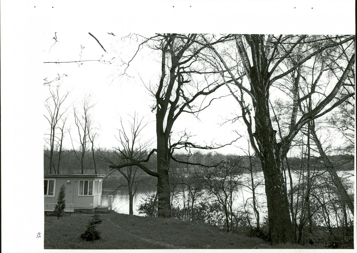 Ewidencja parkowa, skan nr 80