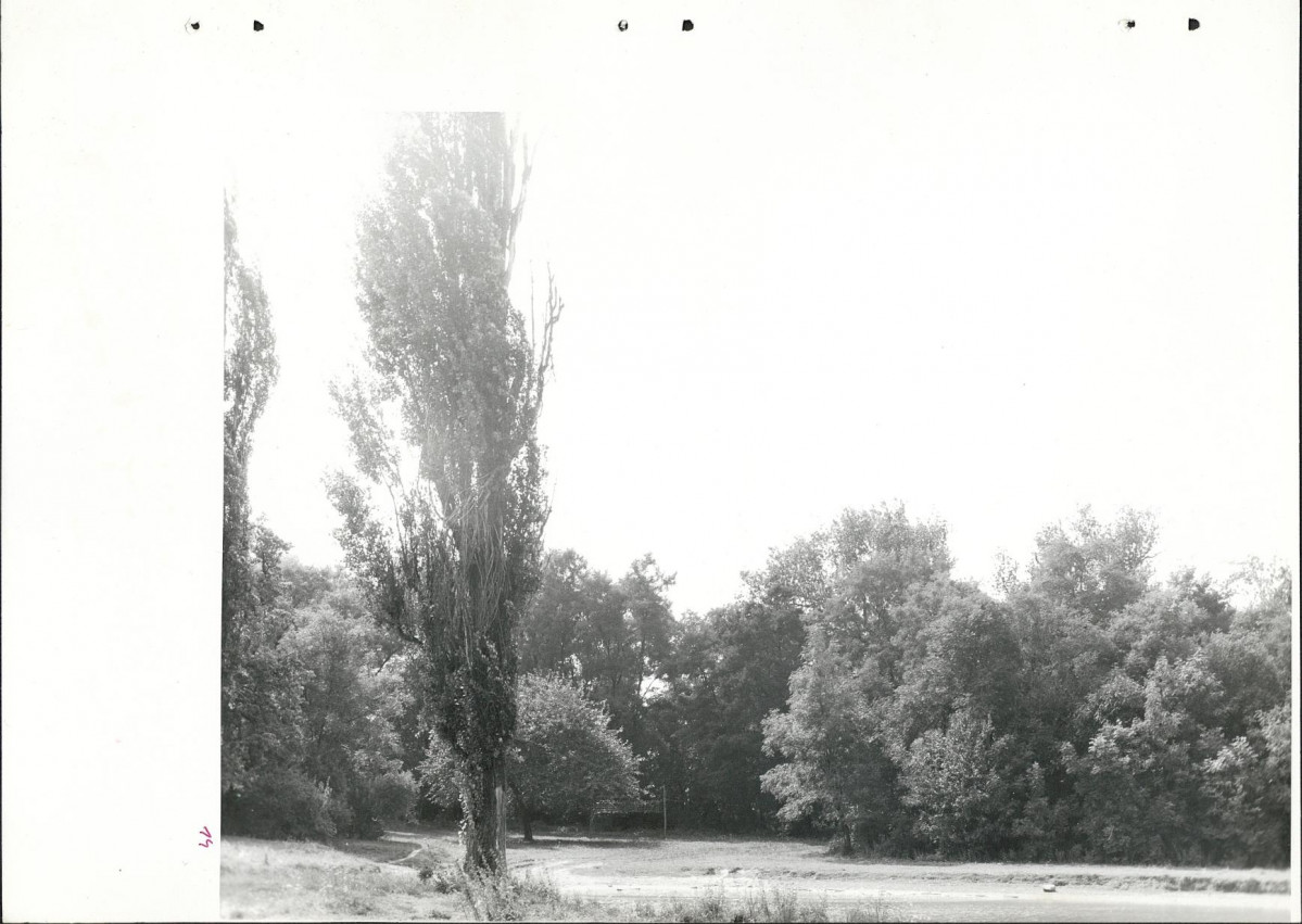 Ewidencja parkowa, skan nr 44