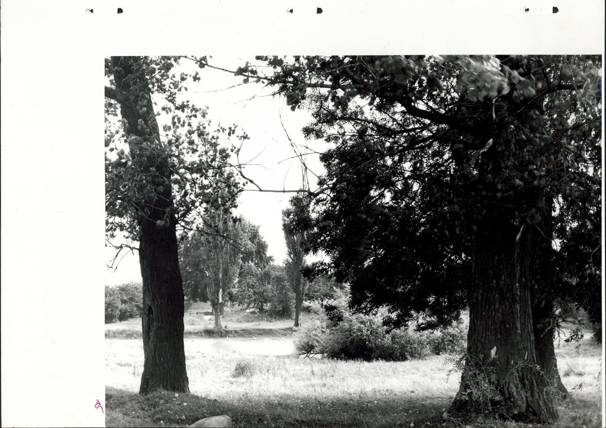 Ewidencja parkowa, skan nr 45