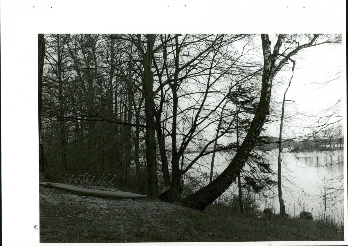 Ewidencja parkowa, skan nr 82