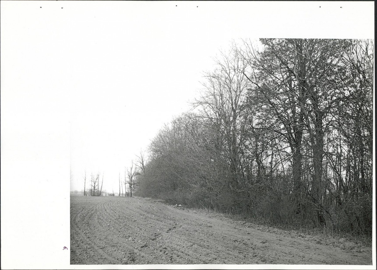 Ewidencja parkowa, skan nr 33