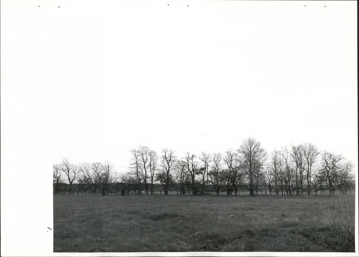 Ewidencja parkowa, skan nr 34